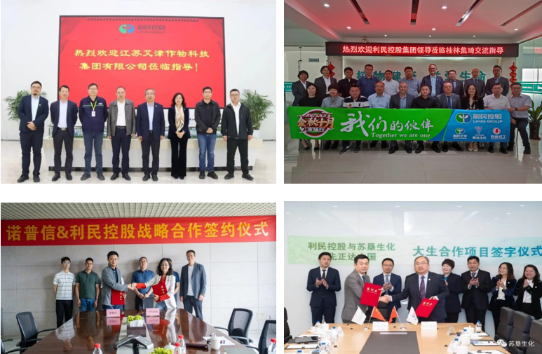 全力构建市场新生态——利民案例剖析麻将胡了试玩网站免费推动资源整合