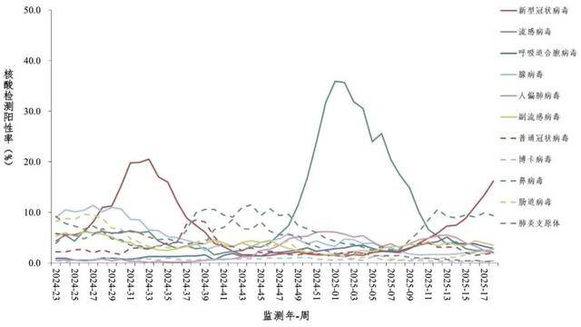来_高峰_病毒_呼吸道麻将胡了电子游戏新冠又(图6)